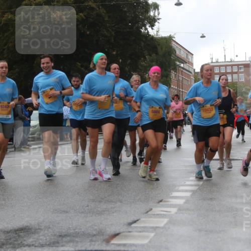 13.09.2026 - Kiel Lauf Markus Tischler http://msf.ph/oto/10322307 13.09.2026 10:56:59 Fleethörn 300, 3, 9242, 105, 8884, 2354, 10453, 3348 meine-sportfotos.de