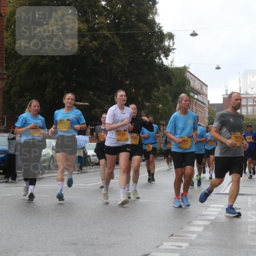 13.09.2026 - Kiel Lauf Markus Tischler http://msf.ph/oto/10322420 13.09.2026 10:57:11 Fleethörn 0916, 3607, 8120, 31, 7614, 5987, 964 meine-sportfotos.de