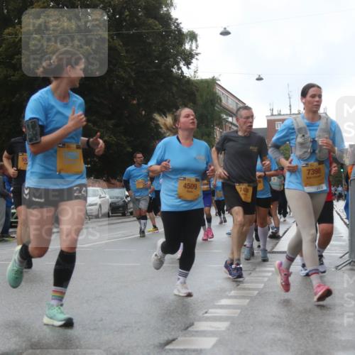 13.09.2026 - Kiel Lauf Markus Tischler http://msf.ph/oto/10322501 13.09.2026 10:57:31 Fleethörn 55, 2, 4, 4509, 7438, 7398 meine-sportfotos.de