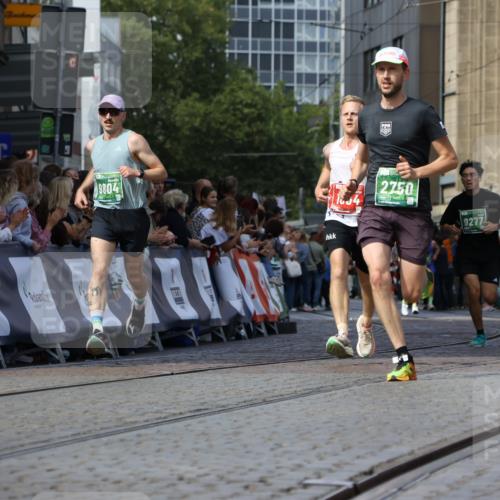 13.09.2026 - 21. swb-Marathon Bremen Strokosch-Dieckow http://msf.ph/oto/10322578 13.09.2026 13:09:44 Ziel 1034, 1241, 3197, 4895, 5111, 6652, 8759, 9789, 9866, 9904, 567, 1723, 1975, 2750, 8835, 9277, 9804 meine-sportfotos.de