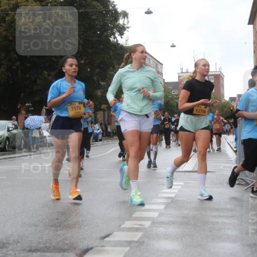 13.09.2026 - Kiel Lauf Markus Tischler http://msf.ph/oto/10322709 13.09.2026 10:58:08 Fleethörn 7179, 12756, 4 meine-sportfotos.de