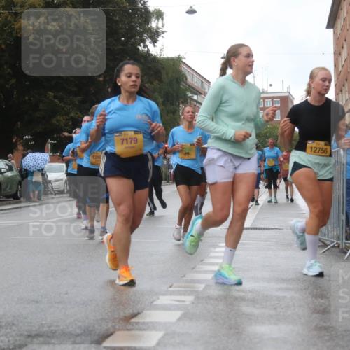 13.09.2026 - Kiel Lauf Markus Tischler http://msf.ph/oto/10322716 13.09.2026 10:58:09 Fleethörn 1219, 21, 7179, 12756 meine-sportfotos.de
