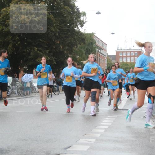 13.09.2026 - Kiel Lauf Markus Tischler http://msf.ph/oto/10322835 13.09.2026 10:58:28 Fleethörn 1, 11972, 3000, 3340, 539, 842 meine-sportfotos.de