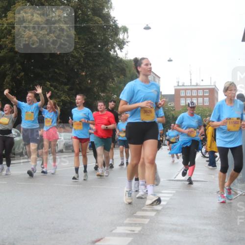 13.09.2026 - Kiel Lauf Markus Tischler http://msf.ph/oto/10322877 13.09.2026 10:58:34 Fleethörn 11581, 11805, 3626, 11502 meine-sportfotos.de
