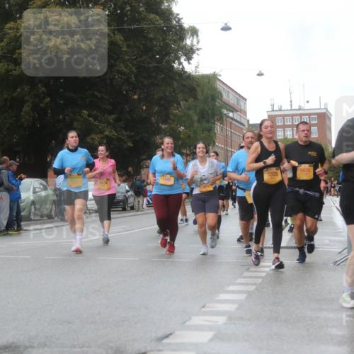 13.09.2026 - Kiel Lauf Markus Tischler http://msf.ph/oto/10322985 13.09.2026 10:58:56 Fleethörn 11, 300, 1448, 8934, 8555, 9525, 4788 meine-sportfotos.de