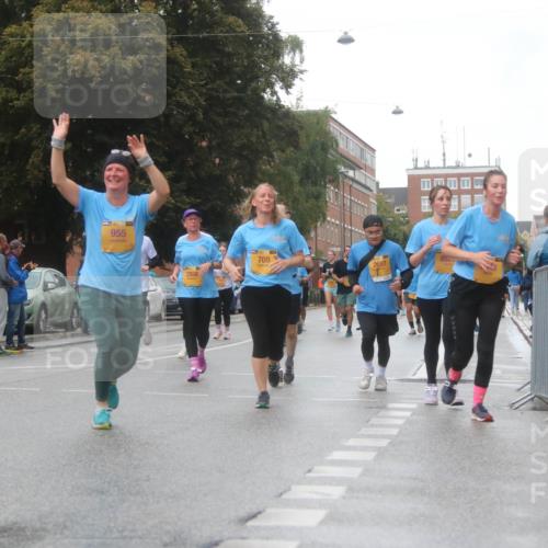 13.09.2026 - Kiel Lauf Markus Tischler http://msf.ph/oto/10323131 13.09.2026 10:59:19 Fleethörn 3000, 955, 2958, 709, 2697, 852 meine-sportfotos.de