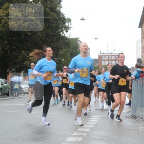 13.09.2026 - Kiel Lauf Markus Tischler http://msf.ph/oto/10323215 13.09.2026 10:59:34 Fleethörn 056, 8036, 841, 39, 5944, 208, 2902 meine-sportfotos.de