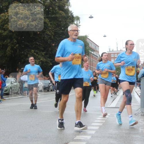 13.09.2026 - Kiel Lauf Markus Tischler http://msf.ph/oto/10323246 13.09.2026 10:59:39 Fleethörn 11, 500, 10531, 39, 2085, 6998, 1693, 8036 meine-sportfotos.de