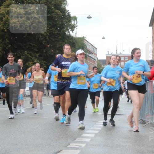 13.09.2026 - Kiel Lauf Markus Tischler http://msf.ph/oto/10323351 13.09.2026 10:59:59 Fleethörn 500, 11942, 6878, 2796, 5712, 332, 11064 meine-sportfotos.de