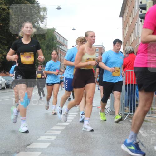 13.09.2026 - Kiel Lauf Markus Tischler http://msf.ph/oto/10323393 13.09.2026 11:00:02 Fleethörn 7389, 712, 119 meine-sportfotos.de