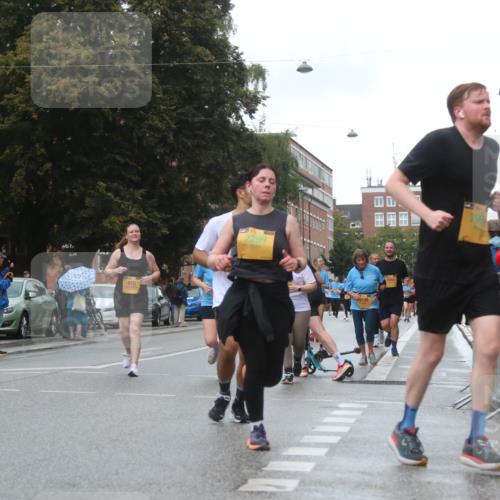13.09.2026 - Kiel Lauf Markus Tischler http://msf.ph/oto/10323425 13.09.2026 11:00:07 Fleethörn 1, 300, 415, 2299, 108 meine-sportfotos.de