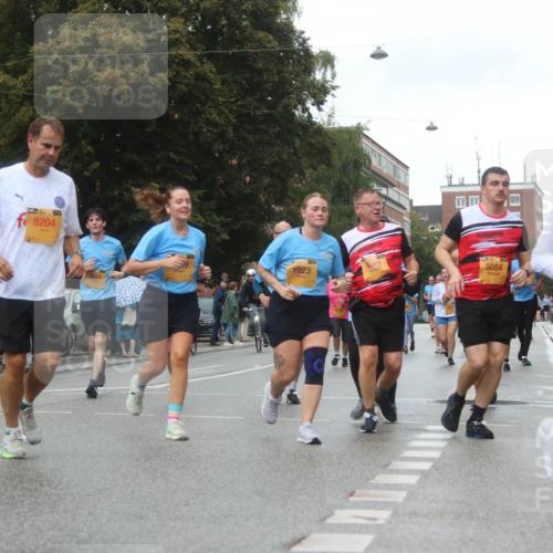 13.09.2026 - Kiel Lauf Markus Tischler http://msf.ph/oto/10323604 13.09.2026 11:00:35 Fleethörn 300, 8204, 1923, 577, 8084, 9063 meine-sportfotos.de