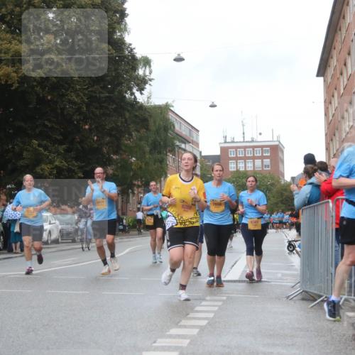 13.09.2026 - Kiel Lauf Markus Tischler http://msf.ph/oto/10323680 13.09.2026 11:00:48 Fleethörn 9614, 8288, 7656, 6341 meine-sportfotos.de