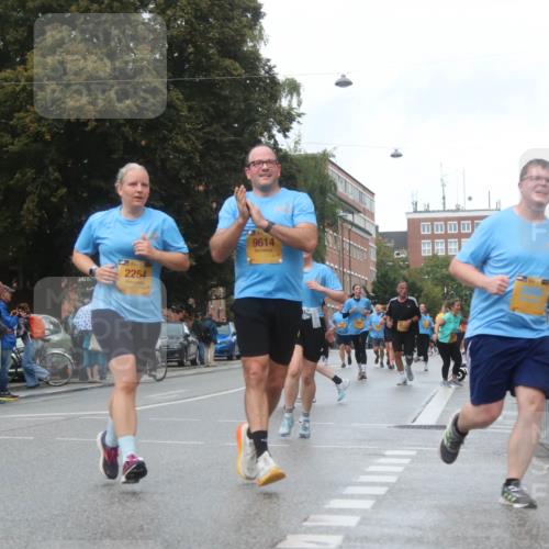 13.09.2026 - Kiel Lauf Markus Tischler http://msf.ph/oto/10323700 13.09.2026 11:00:51 Fleethörn 2254, 9614 meine-sportfotos.de