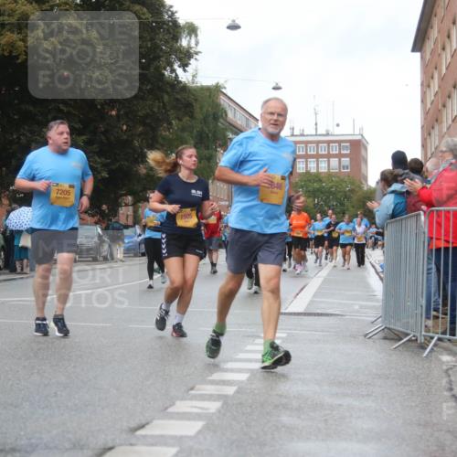 13.09.2026 - Kiel Lauf Markus Tischler http://msf.ph/oto/10323759 13.09.2026 11:01:06 Fleethörn 986, 7205, 1505, 846 meine-sportfotos.de