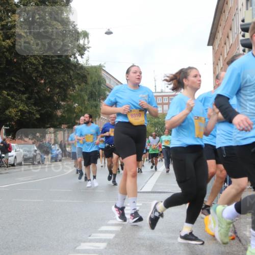 13.09.2026 - Kiel Lauf Markus Tischler http://msf.ph/oto/10323890 13.09.2026 11:01:23 Fleethörn 9067, 6310 meine-sportfotos.de