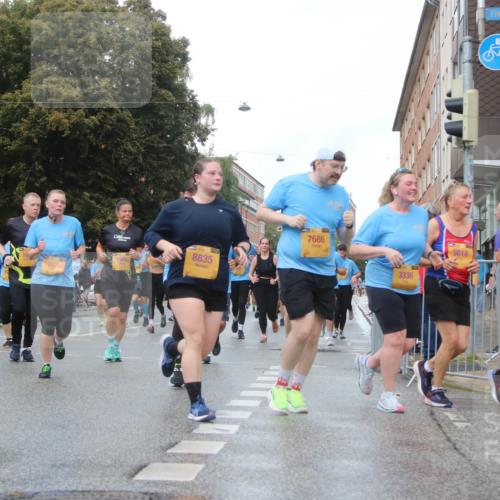 13.09.2026 - Kiel Lauf Markus Tischler http://msf.ph/oto/10323969 13.09.2026 11:01:45 Fleethörn 1906, 10138, 8835, 7686, 3336, 9818, 12252 meine-sportfotos.de