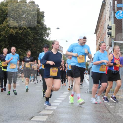 13.09.2026 - Kiel Lauf Markus Tischler http://msf.ph/oto/10323972 13.09.2026 11:01:45 Fleethörn 300, 1902, 10138, 1906, 8835, 7686, 3336, 12252 meine-sportfotos.de