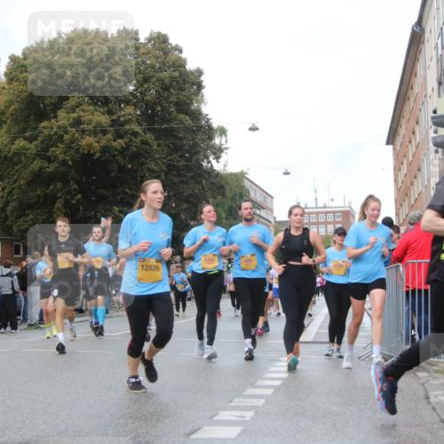 13.09.2026 - Kiel Lauf Markus Tischler http://msf.ph/oto/10323991 13.09.2026 11:01:47 Fleethörn 4444, 1316, 460, 1289, 47591, 12826, 2016, 1906 meine-sportfotos.de