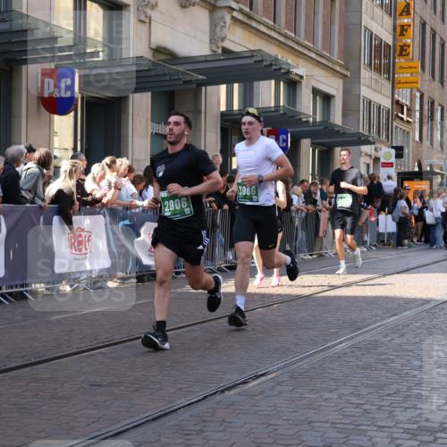 13.09.2026 - 21. swb-Marathon Bremen Strokosch-Dieckow http://msf.ph/oto/10324507 13.09.2026 13:19:29 Ziel 161, 411, 461, 495, 511, 926, 1010, 1053, 1232, 1281, 1468, 1535, 1551, 1642, 1972, 2870, 2906, 3240, 3319, 3411, 3966, 4101, 4479, 4480, 4977, 4978, 5813, 7037, 7140, 7404, 7488, 7655, 8185, 8263, 9082, 9359, 9984, 13163, 13192, 189, 666, 1599, 2390, 2423, 2535, 3182, 3508, 4319, 4455, 4819, 4977, 4978, 5172, 5371, 6008, 6137, 6633, 7268, 7754, 7945, 8153, 9552, 9638, 9805 meine-sportfotos.de