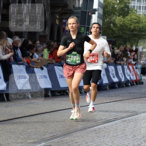 13.09.2026 - 21. swb-Marathon Bremen Strokosch-Dieckow http://msf.ph/oto/10325489 13.09.2026 13:11:21 Ziel 335, 697, 2021, 2759, 3448, 3484, 3647, 4023, 4429, 4475, 4571, 5079, 5314, 6471, 6657, 7136, 8183, 9410, 9622, 382, 3899, 7109, 8982 meine-sportfotos.de