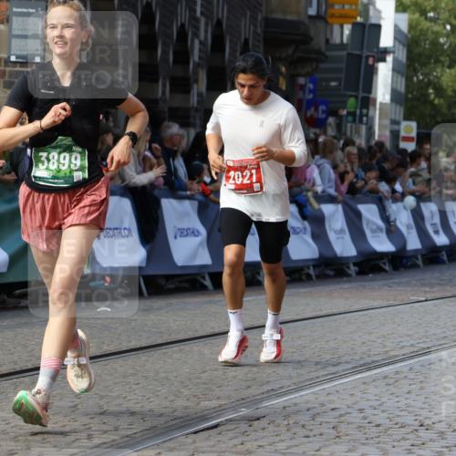 13.09.2026 - 21. swb-Marathon Bremen Strokosch-Dieckow http://msf.ph/oto/10325500 13.09.2026 13:11:22 Ziel 335, 697, 2021, 2759, 3448, 3484, 3647, 4023, 4429, 4475, 4571, 5079, 6471, 6657, 7136, 8183, 9410, 9622, 9762, 382, 3899, 7109, 8982 meine-sportfotos.de
