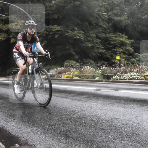 13.09.2026 - Stadtparktriathlon H.Heesch http://msf.ph/oto/10326602 13.09.2026 12:56:32 Radfahren 1156, 1164, 1202, 1208, 1366 meine-sportfotos.de