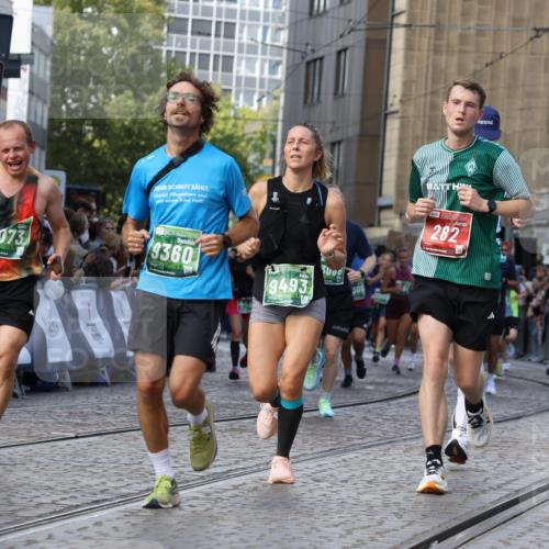 13.09.2026 - 21. swb-Marathon Bremen Strokosch-Dieckow http://msf.ph/oto/10328440 13.09.2026 13:25:04 Ziel 282, 1516, 1582, 2280, 2761, 3015, 3375, 3524, 4198, 4262, 4277, 5328, 5664, 6360, 6626, 6807, 7854, 8636, 8853, 8881, 9541, 10069, 10071, 10097, 10103, 1080, 1119, 1166, 1436, 1448, 2046, 2322, 3105, 3168, 3187, 4294, 4459, 4918, 6113, 7306, 7326, 8245, 9036, 9073, 9360, 9493, 9563, 13088 meine-sportfotos.de
