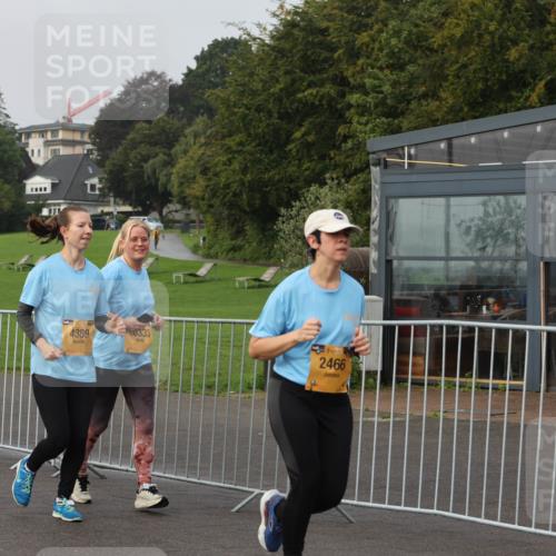 13.09.2026 - Kiel Lauf Andreas Tolksdorf http://msf.ph/oto/10328719 13.09.2026 09:29:55 Kiellinie 12590, 4389, 10333, 1, 39, 2466 meine-sportfotos.de