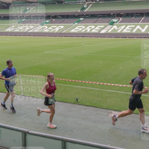 13.09.2026 - 21. swb-Marathon Bremen Michael Burmester http://msf.ph/oto/10328932 13.09.2026 12:59:20 Laufen im Stadion 135, 141, 148, 191, 226, 232, 260, 342, 511, 672, 745, 789, 790, 972, 1080, 1119, 1166, 1191, 1199, 1209, 1281, 1493, 1494, 1516, 1642, 1647, 1931, 1933, 2088, 2210, 2289, 2343, 2367, 2397, 2425, 2481, 2517, 2570, 2577, 2686, 2771, 2806, 2807, 2827, 2885, 2899, 2914, 2953, 2961, 2979, 3015, 3021, 3076, 3098, 3120, 3124, 3138, 3148, 3186, 3190, 3233, 3273, 3338, 3435, 3516, 3531, 3534, 3560, 3652, 3655, 3695, 3855, 3861, 3930, 3933, 3934, 4120, 205 meine-sportfotos.de