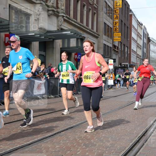 13.09.2026 - 21. swb-Marathon Bremen Strokosch-Dieckow http://msf.ph/oto/10329076 13.09.2026 11:02:08 Ziel 10153, 10154, 10173, 10273, 10274, 10278, 10331, 10338, 10439, 10738, 10885, 10915, 10943, 11137, 11249, 11261, 11505, 11508, 11526, 11554, 11576, 11662, 11853, 11886, 11890, 11945, 12042, 12134, 12169, 12252, 12429, 12489, 10257, 10409, 10444, 10473, 10500, 10617, 10636, 10803, 10817, 10924, 11115, 11268, 11369, 11412, 11413, 11436, 11576, 11811, 11859, 12016, 12094, 12095, 12134, 12135, 12145, 12360, 12379, 12412, 12437, 12466, 12506 meine-sportfotos.de