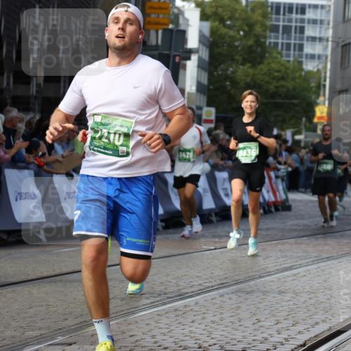 13.09.2026 - 21. swb-Marathon Bremen Strokosch-Dieckow http://msf.ph/oto/10329151 13.09.2026 13:13:51 Ziel 779, 2130, 2360, 2401, 2767, 2882, 6407, 7493, 8477, 8568, 8840, 8963, 9442, 13099, 670, 1433, 1613, 2701, 2824, 3236, 5593, 5610, 6145, 7283, 7435, 7963, 8118, 8886, 9426, 9635, 10105 meine-sportfotos.de