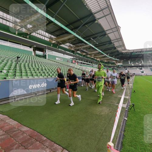 13.09.2026 - 21. swb-Marathon Bremen Michael Burmester http://msf.ph/oto/10329262 13.09.2026 13:35:46 Laufen im Stadion 170, 193, 368, 462, 491, 496, 657, 1015, 1026, 1280, 1321, 1396, 1432, 1553, 1560, 1607, 1726, 1772, 1784, 1887, 1934, 1965, 1974, 1977, 1992, 2335, 2338, 2578, 2650, 2688, 2789, 2791, 2894, 2933, 3090, 3161, 3169, 3178, 3179, 3191, 3406, 3408, 3463, 3472, 3498, 3547, 3555, 3570, 3573, 3588, 3640, 3660, 3708, 3709, 3720, 3801, 3839, 3904, 3914, 3985, 4014, 4145, 4200, 4290, 4464, 4500, 4546, 4561, 4801, 4880, 4967, 5000, 5034, 5151, 5332, 5461, 5818 meine-sportfotos.de