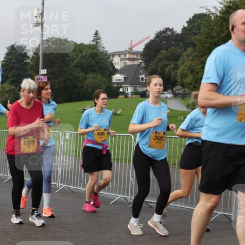 13.09.2026 - Kiel Lauf Andreas Tolksdorf http://msf.ph/oto/10329353 13.09.2026 09:30:38 Kiellinie 43, 1961, 39, 11828, 4988, 39, 2483, 2061 meine-sportfotos.de