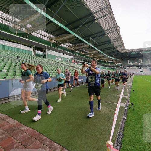 13.09.2026 - 21. swb-Marathon Bremen Michael Burmester http://msf.ph/oto/10329607 13.09.2026 13:36:24 Laufen im Stadion 444, 462, 491, 496, 590, 657, 799, 1015, 1132, 1135, 1279, 1396, 1432, 1620, 1726, 1762, 1887, 1934, 1951, 1965, 1974, 1977, 2078, 2227, 2335, 2578, 2639, 2650, 2688, 2789, 2842, 2892, 2894, 2933, 2939, 3090, 3161, 3169, 3178, 3299, 3303, 3406, 3408, 3463, 3472, 3498, 3555, 3570, 3573, 3588, 3640, 3731, 3779, 3801, 3839, 3985, 3992, 3993, 4084, 4145, 4200, 4210, 4290, 4464, 4538, 4546, 4801, 4880, 4967, 5000, 5034, 5182, 5332, 5461, 5679, 5818 meine-sportfotos.de