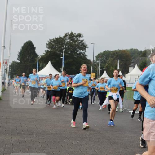 13.09.2026 - Kiel Lauf Andreas Tolksdorf http://msf.ph/oto/10329775 13.09.2026 09:31:06 Kiellinie 36, 24, 4762, 4, 38, 2979 meine-sportfotos.de