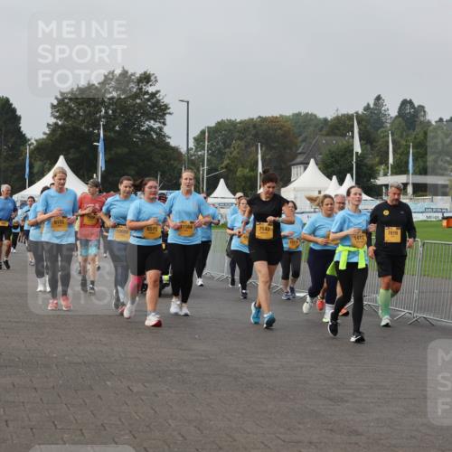 13.09.2026 - Kiel Lauf Andreas Tolksdorf http://msf.ph/oto/10329842 13.09.2026 09:31:10 Kiellinie 36, 6102, 1564, 10609, 6515, 7140, 7819, 1412, 4762 meine-sportfotos.de