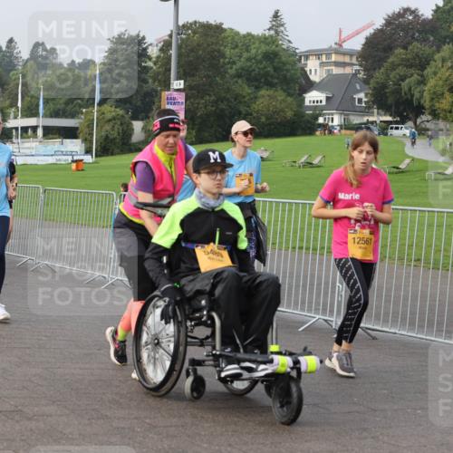 13.09.2026 - Kiel Lauf Andreas Tolksdorf http://msf.ph/oto/10329931 13.09.2026 09:31:18 Kiellinie 10325, 1, 35, 8102, 5489, 12561 meine-sportfotos.de