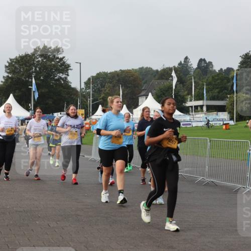 13.09.2026 - Kiel Lauf Andreas Tolksdorf http://msf.ph/oto/10330270 13.09.2026 09:31:53 Kiellinie 36, 6306, 6735, 267, 8730 meine-sportfotos.de
