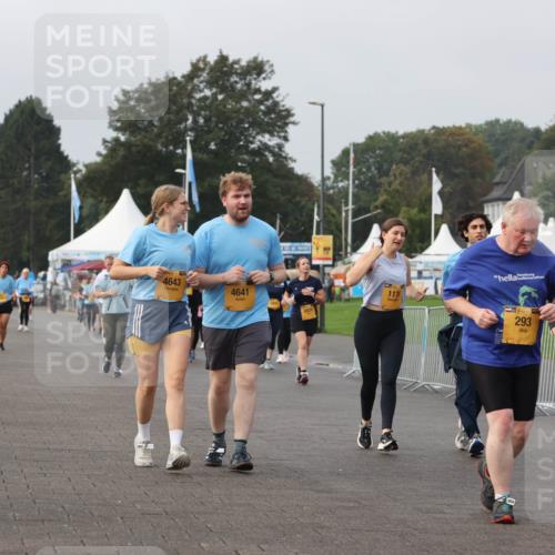 13.09.2026 - Kiel Lauf Andreas Tolksdorf http://msf.ph/oto/10330416 13.09.2026 09:32:08 Kiellinie 36, 4643, 4641, 72, 117, 39, 293, 9087 meine-sportfotos.de