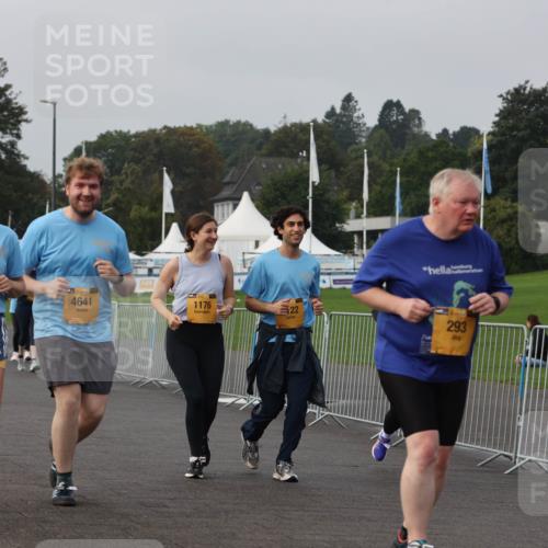 13.09.2026 - Kiel Lauf Andreas Tolksdorf http://msf.ph/oto/10330445 13.09.2026 09:32:09 Kiellinie 39, 4643, 1, 38, 4641, 1176, 22, 293 meine-sportfotos.de
