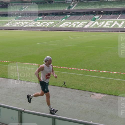 13.09.2026 - 21. swb-Marathon Bremen Michael Burmester http://msf.ph/oto/10332038 13.09.2026 13:03:56 Laufen im Stadion 209, 210, 488, 534, 565, 596, 725, 762, 881, 940, 1014, 1343, 1373, 1456, 1458, 1460, 1479, 1611, 1649, 1653, 1687, 1771, 2223, 2276, 2364, 2369, 2421, 2430, 2434, 2452, 2513, 2625, 2779, 2851, 2872, 2891, 2900, 2910, 2934, 2957, 2977, 3028, 3114, 3135, 3217, 3258, 3360, 3402, 3419, 3425, 3454, 3460, 3496, 3510, 3521, 3576, 3579, 3585, 3597, 3618, 3796, 3846, 3859, 3893, 3909, 3938, 3970, 3983, 4077, 4133, 4558, 242 meine-sportfotos.de