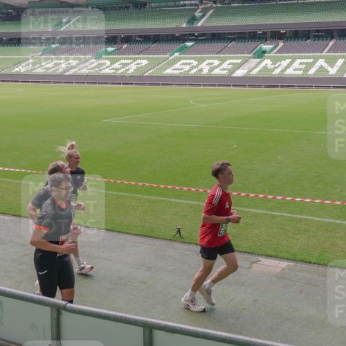 13.09.2026 - 21. swb-Marathon Bremen Michael Burmester http://msf.ph/oto/10332252 13.09.2026 13:04:16 Laufen im Stadion 178, 209, 210, 488, 534, 565, 596, 725, 762, 881, 940, 1014, 1239, 1307, 1343, 1373, 1456, 1458, 1460, 1479, 1611, 1627, 1649, 1653, 1656, 1687, 1771, 1780, 1932, 1941, 2023, 2223, 2369, 2430, 2434, 2452, 2513, 2625, 2723, 2851, 2867, 2872, 2891, 2900, 2910, 2919, 2934, 2957, 2977, 3028, 3135, 3217, 3320, 3343, 3360, 3402, 3419, 3425, 3454, 3460, 3510, 3521, 3579, 3597, 3618, 3796, 3846, 3859, 3909, 3938, 3970, 3983, 4077, 4133, 242 meine-sportfotos.de