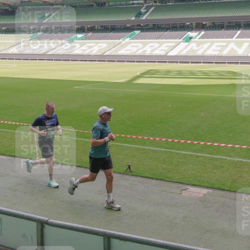 13.09.2026 - 21. swb-Marathon Bremen Michael Burmester http://msf.ph/oto/10333034 13.09.2026 13:05:13 Laufen im Stadion 178, 209, 210, 217, 244, 323, 394, 534, 536, 565, 647, 881, 891, 900, 1073, 1239, 1243, 1274, 1307, 1308, 1343, 1373, 1380, 1456, 1479, 1533, 1581, 1627, 1649, 1653, 1656, 1687, 1780, 1914, 1932, 1941, 2023, 2076, 2089, 2126, 2241, 2244, 2265, 2301, 2310, 2369, 2430, 2452, 2464, 2602, 2723, 2742, 2764, 2851, 2867, 2872, 2891, 2910, 2919, 2957, 2959, 2985, 3028, 3030, 3115, 3217, 3278, 3320, 3343, 3419, 3425, 3444, 3454, 3485, 3521, 3579, 3796, 3909, 242 meine-sportfotos.de