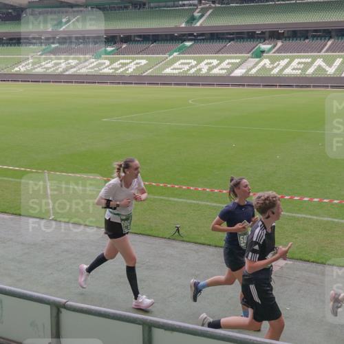 13.09.2026 - 21. swb-Marathon Bremen Michael Burmester http://msf.ph/oto/10334489 13.09.2026 13:08:11 Laufen im Stadion 132, 156, 489, 551, 607, 682, 716, 800, 808, 809, 834, 846, 884, 911, 922, 1025, 1124, 1173, 1189, 1210, 1285, 1289, 1322, 1364, 1369, 1387, 1395, 1398, 1532, 1559, 1600, 1688, 1831, 1841, 1854, 1871, 1899, 1926, 1938, 2003, 2041, 2070, 2090, 2215, 2219, 2229, 2283, 2318, 2366, 2380, 2405, 2413, 2440, 2467, 2492, 2565, 2611, 2635, 2692, 2699, 2721, 2727, 2731, 2755, 2782, 2802, 2818, 2823, 2831, 2841, 2866, 2897, 2911, 2930, 2949, 2960, 3067 meine-sportfotos.de