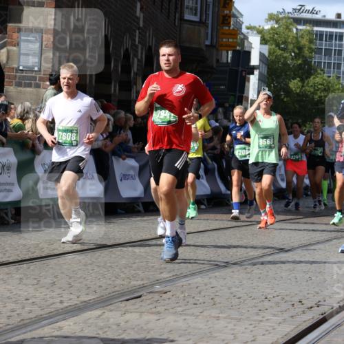 13.09.2026 - 21. swb-Marathon Bremen Strokosch-Dieckow http://msf.ph/oto/10334531 13.09.2026 13:31:37 Ziel 217, 1398, 1627, 2244, 2513, 2602, 2707, 3152, 3343, 3392, 3396, 3762, 4477, 4647, 5375, 5504, 5673, 5720, 5765, 5846, 5979, 6147, 6619, 6732, 6968, 7001, 7296, 7812, 8035, 8097, 8339, 8342, 8726, 9147, 9274, 9337, 9822, 9969, 9977, 13066, 310, 578, 846, 3115, 3205, 3239, 3244, 3278, 3858, 3989, 4030, 4164, 4998, 5158, 5325, 5363, 5426, 5899, 6062, 6100, 6193, 6213, 6354, 6602, 7242, 7260, 7608, 7790, 7941, 7964, 8078, 8166, 8206, 9016, 9033, 9188, 9568, 9785, 9914, 13151 meine-sportfotos.de