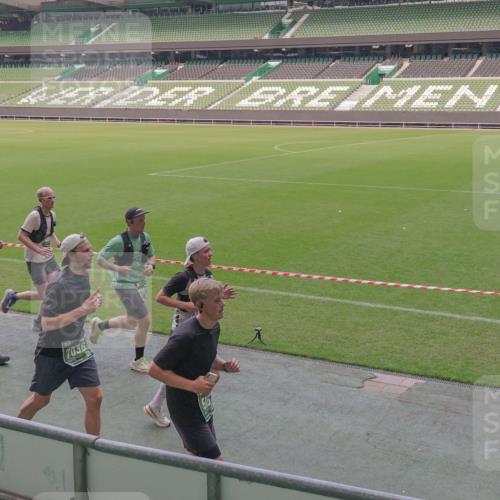 13.09.2026 - 21. swb-Marathon Bremen Michael Burmester http://msf.ph/oto/10335040 13.09.2026 13:09:22 Laufen im Stadion 164, 383, 391, 448, 532, 549, 551, 563, 625, 813, 869, 884, 898, 1025, 1072, 1124, 1150, 1180, 1285, 1289, 1398, 1559, 1688, 1880, 1899, 2041, 2208, 2215, 2229, 2232, 2243, 2366, 2380, 2413, 2429, 2441, 2467, 2471, 2525, 2530, 2553, 2573, 2594, 2611, 2635, 2692, 2714, 2717, 2727, 2782, 2785, 2823, 2841, 2897, 2920, 2930, 2931, 2941, 3032, 3063, 3067, 3086, 3291, 3316, 3333, 3398, 3437, 3707, 3769, 3857, 109 meine-sportfotos.de