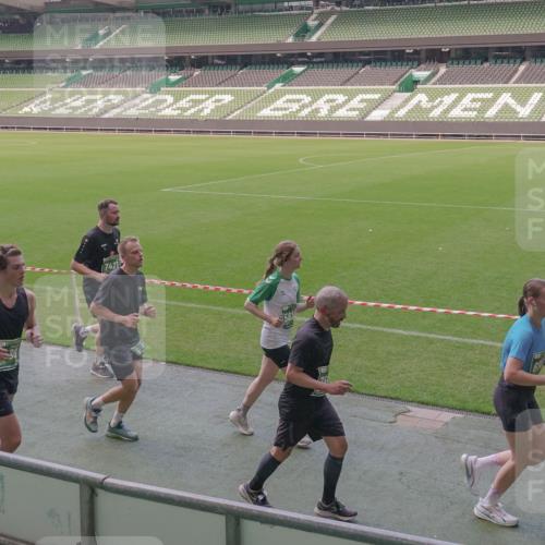 13.09.2026 - 21. swb-Marathon Bremen Michael Burmester http://msf.ph/oto/10335944 13.09.2026 13:11:08 Laufen im Stadion 164, 265, 373, 448, 581, 703, 843, 869, 984, 1113, 1180, 1435, 1738, 1849, 1851, 1855, 1867, 1894, 1936, 1952, 1967, 2202, 2232, 2248, 2268, 2281, 2284, 2299, 2330, 2333, 2339, 2342, 2353, 2375, 2426, 2432, 2443, 2530, 2531, 2553, 2573, 2589, 2654, 2659, 2669, 2682, 2714, 2717, 2784, 2785, 2804, 2819, 2822, 2836, 2907, 2920, 2932, 2976, 3026, 3027, 3063, 3079, 3082, 3086, 3089, 3122, 3159, 3174, 3207, 3208, 3291, 3328, 3349, 3352, 3370, 3409, 3410, 3470, 3549, 551 meine-sportfotos.de