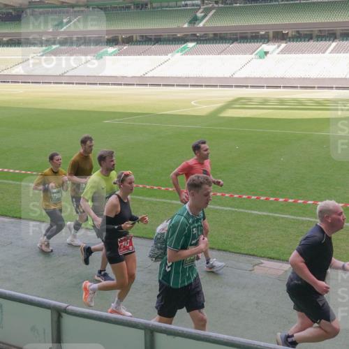 13.09.2026 - 21. swb-Marathon Bremen Michael Burmester http://msf.ph/oto/10336800 13.09.2026 13:12:47 Laufen im Stadion 118, 183, 270, 278, 349, 514, 576, 600, 695, 702, 703, 843, 933, 950, 1005, 1113, 1143, 1226, 1286, 1334, 1426, 1435, 1641, 1849, 1851, 1936, 1952, 1991, 2005, 2248, 2264, 2281, 2336, 2353, 2375, 2377, 2398, 2426, 2439, 2461, 2478, 2505, 2612, 2659, 2665, 2673, 2684, 2765, 2773, 2792, 2804, 2815, 2816, 2822, 2850, 2860, 2884, 2895, 2907, 2921, 2963, 2966, 2972, 2975, 2976, 3016, 3027, 3079, 3082, 3143, 3155, 3253, 3277, 3293, 3308, 3313, 3328, 3349, 3434 meine-sportfotos.de