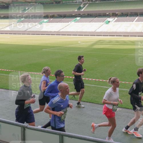 13.09.2026 - 21. swb-Marathon Bremen Michael Burmester http://msf.ph/oto/10337272 13.09.2026 13:13:51 Laufen im Stadion 118, 183, 270, 278, 349, 460, 514, 576, 600, 631, 695, 702, 768, 933, 950, 956, 1005, 1008, 1143, 1286, 1334, 1392, 1408, 1426, 1573, 1596, 1641, 1818, 1819, 1991, 2005, 2024, 2035, 2079, 2233, 2264, 2314, 2387, 2412, 2439, 2457, 2461, 2478, 2505, 2521, 2540, 2564, 2612, 2665, 2684, 2693, 2765, 2773, 2792, 2815, 2816, 2829, 2838, 2860, 2884, 2887, 2895, 2921, 2963, 2966, 2972, 2975, 2978, 3016, 3111, 3209, 3253, 3277, 3293, 3304, 3313, 3378, 3405, 3428, 3434, 3653, 3661 meine-sportfotos.de